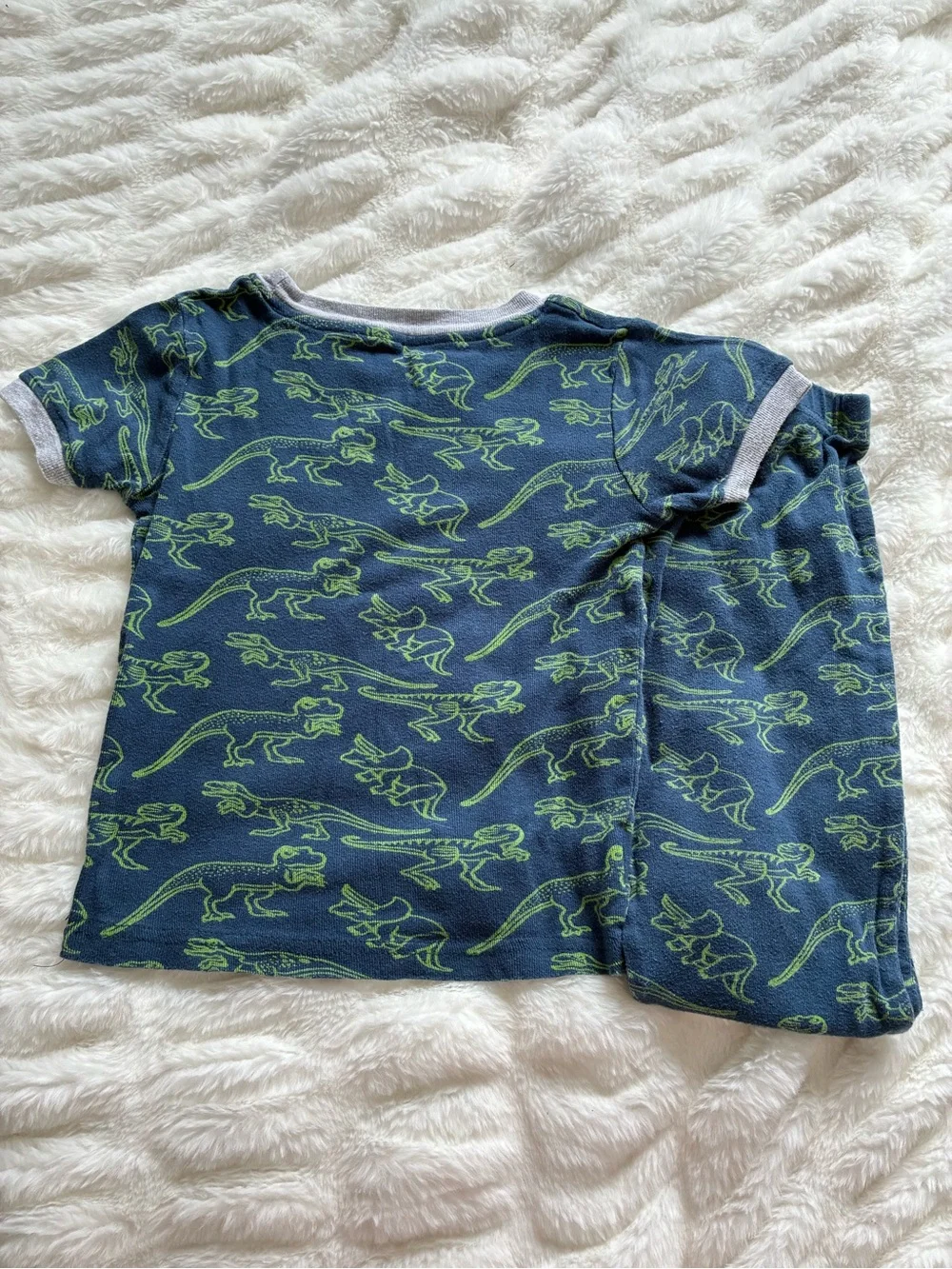 Lily & Dan Dinosaur Short Sleeve Kids Pajama Set